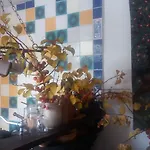 金狮住宿加早餐旅馆