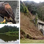 金狮住宿加早餐旅馆 2* 布永