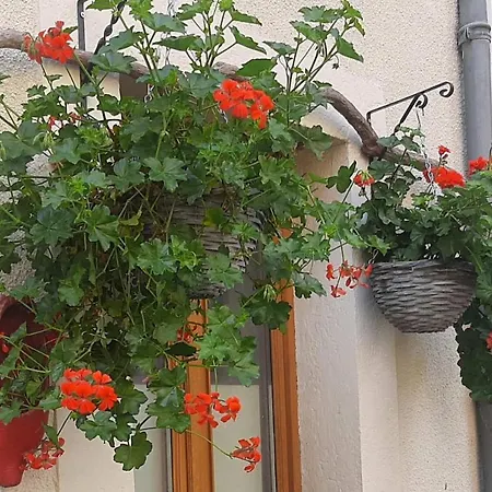 Golden Lion Bed & Breakfast 2*