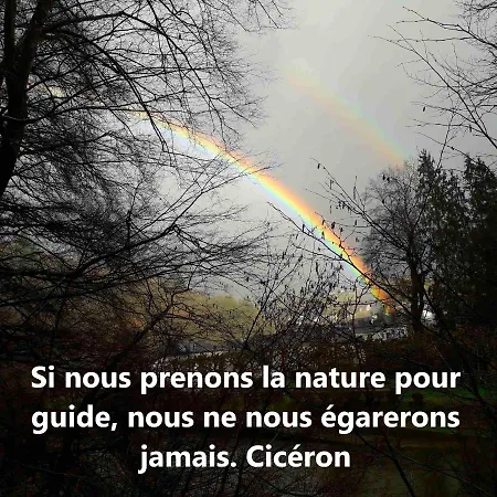 Golden Lion Frühstückspension Bouillon