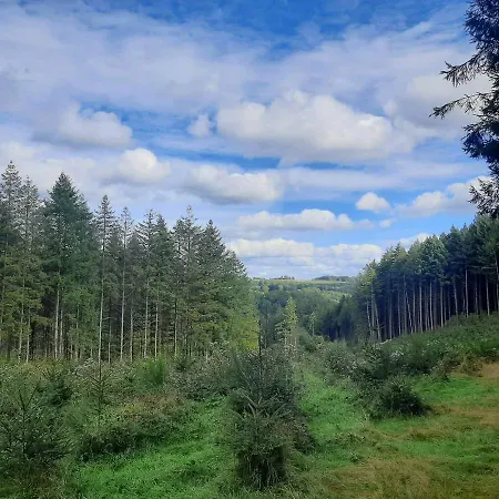 Frühstückspension Golden Lion 3*