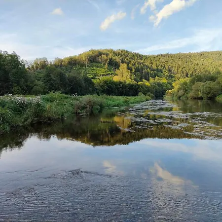 Golden Lion Bouillon