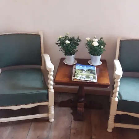 Frühstückspension Golden Lion 3*