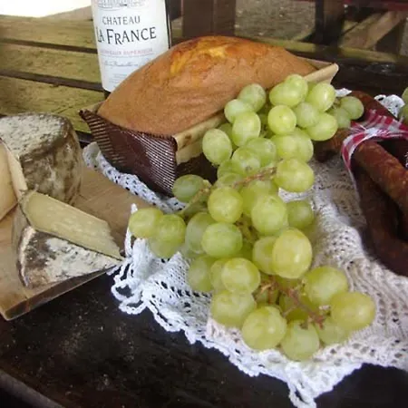 Bed and Breakfast Golden Lion