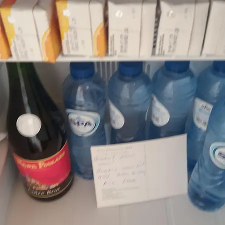 Golden Lion Bed and Breakfast