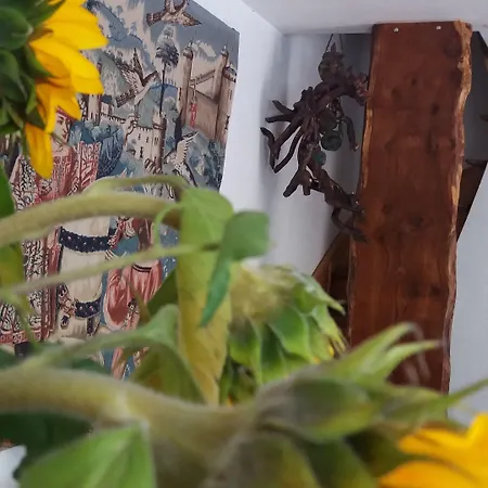 Golden Lion Bed and Breakfast 3*