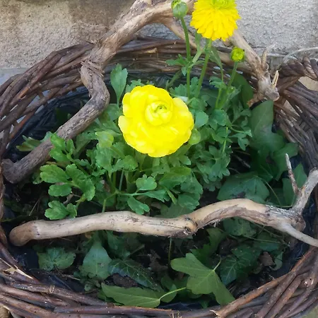 Golden Lion Bed and Breakfast Bouillon