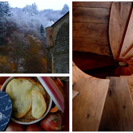 Golden Lion Bouillon