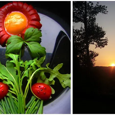 Frühstückspension Golden Lion 3*