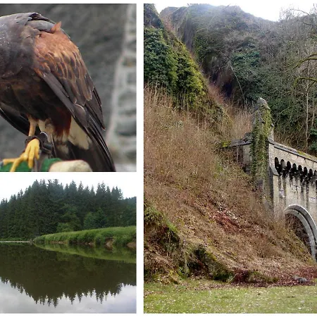 Golden Lion 3* Bouillon