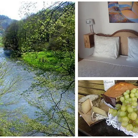 Golden Lion Bouillon