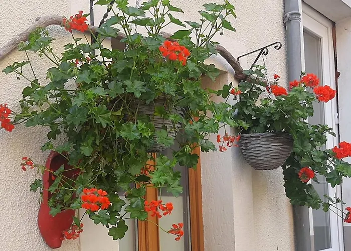 Golden Lion Отель типа 