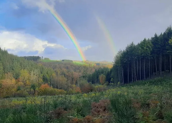 Golden Lion Отель типа 