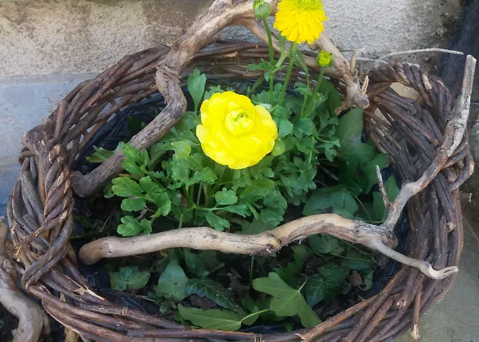 Golden Lion Отель типа 