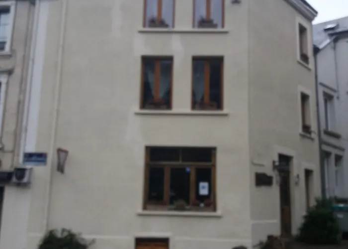 Golden Lion Бульон