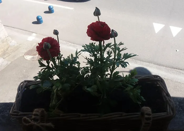 Golden Lion Отель типа 