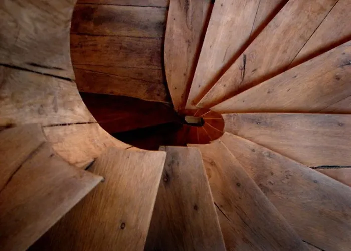 Golden Lion Бульон