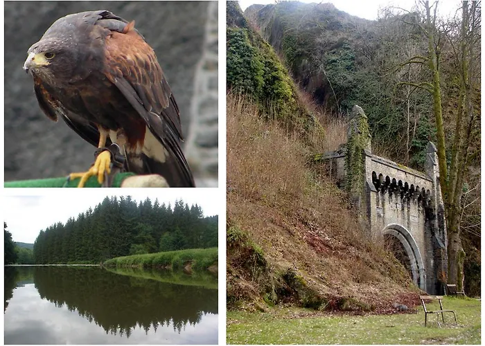 Golden Lion 3* Бульон