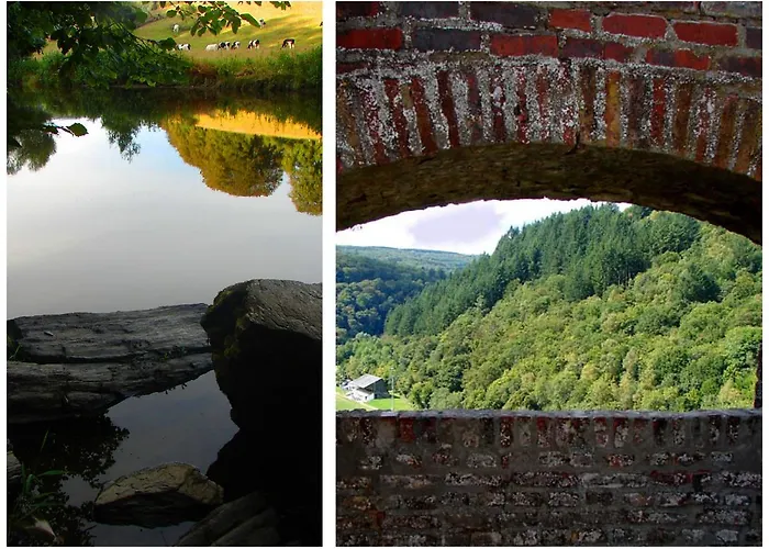 Golden Lion Отель типа 